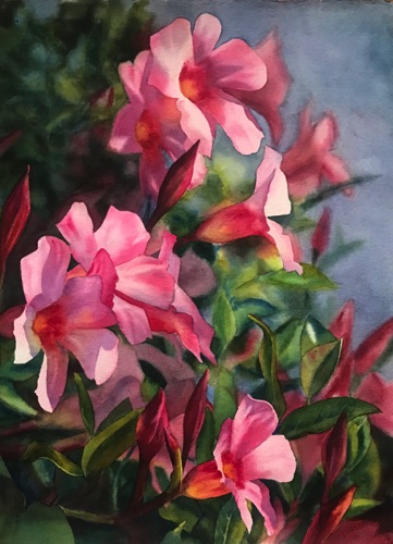 Pink Vine
20" x 15"
Private Collection